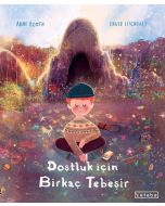 Dostluk İçin Birkaç Tebeşir