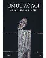Umut Ağacı