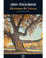 Bilinmeyen Bir Tanrıya