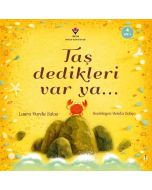 Taş Dedikleri Var Ya...