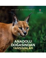 Anadolu Doğasından Yansımalar