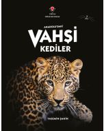 Anadolu'daki Vahşi Kediler
