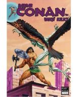 Barbar Conan'ın Vahşi Kılıcı Cilt - 20