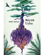 Büyük Uyku