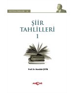 Şiir Tahlilleri 1