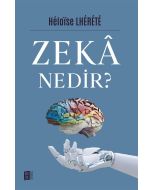 Zekâ Nedir?