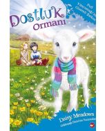 Dostluk Ormanı 12 - Püfi Yünyumağının Gizemli Şarkısı