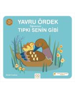 Yavru Ördek Öğreniyor Tıpkı Senin Gibi 