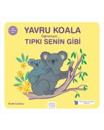 Yavru Koala Öğreniyor Tıpkı Senin Gibi 