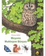 Meşenin Muhteşem Dünyası