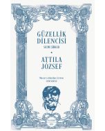 Güzellik Dilencisi