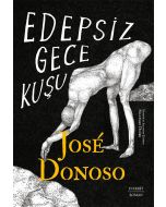 Edepsiz Gece Kuşu