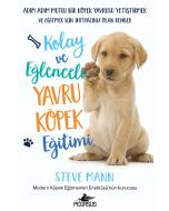 Kolay ve Eğlenceli Yavru Köpek Eğitimi