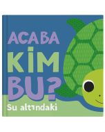 Acaba Kim Bu? - Su Altındaki (Ciltli)