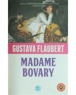 Madam Bovary - Özet Kitap