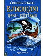 Ejderhanı Nasıl Eğitirsin 2