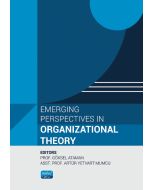 Emerging Perspectives in Organizational Theory