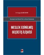 Meslek Edinilmiş Geçici İş İlişkisi