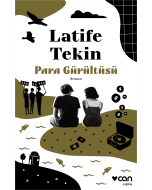 Para Gürültüsü